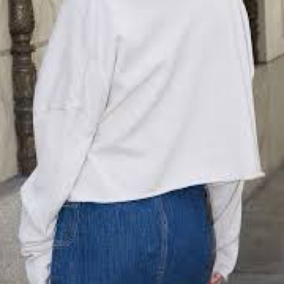 Pac-sun John Galt one Size fits most oversized cropped cream and gray - Picture 2 of 3